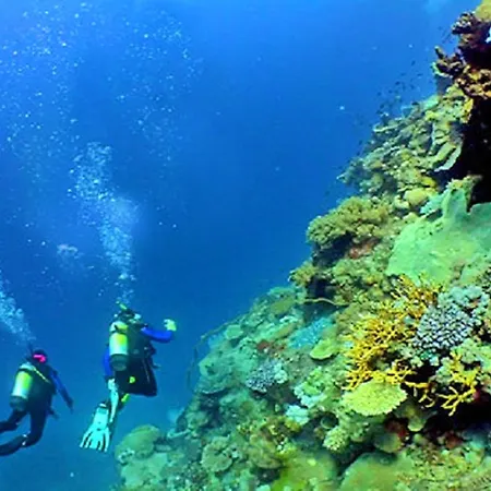 Luxury 1 Bedroom Apartment, Marina De Albufeira4 Daire