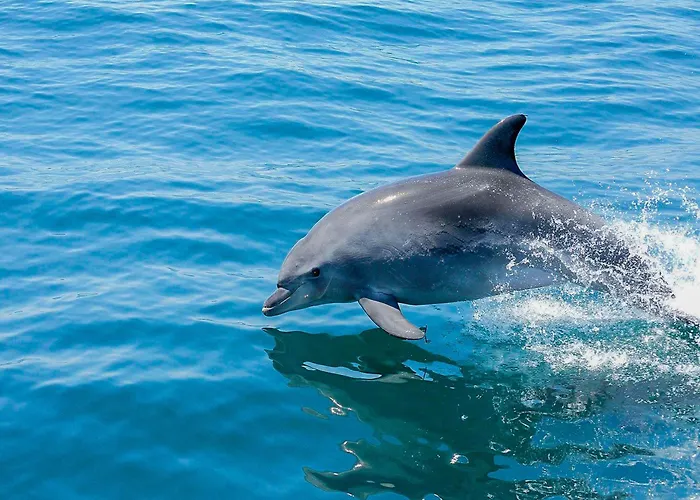 Luxury 1 Bedroom Apartment, Marina De Albufeira4 Apartamento *